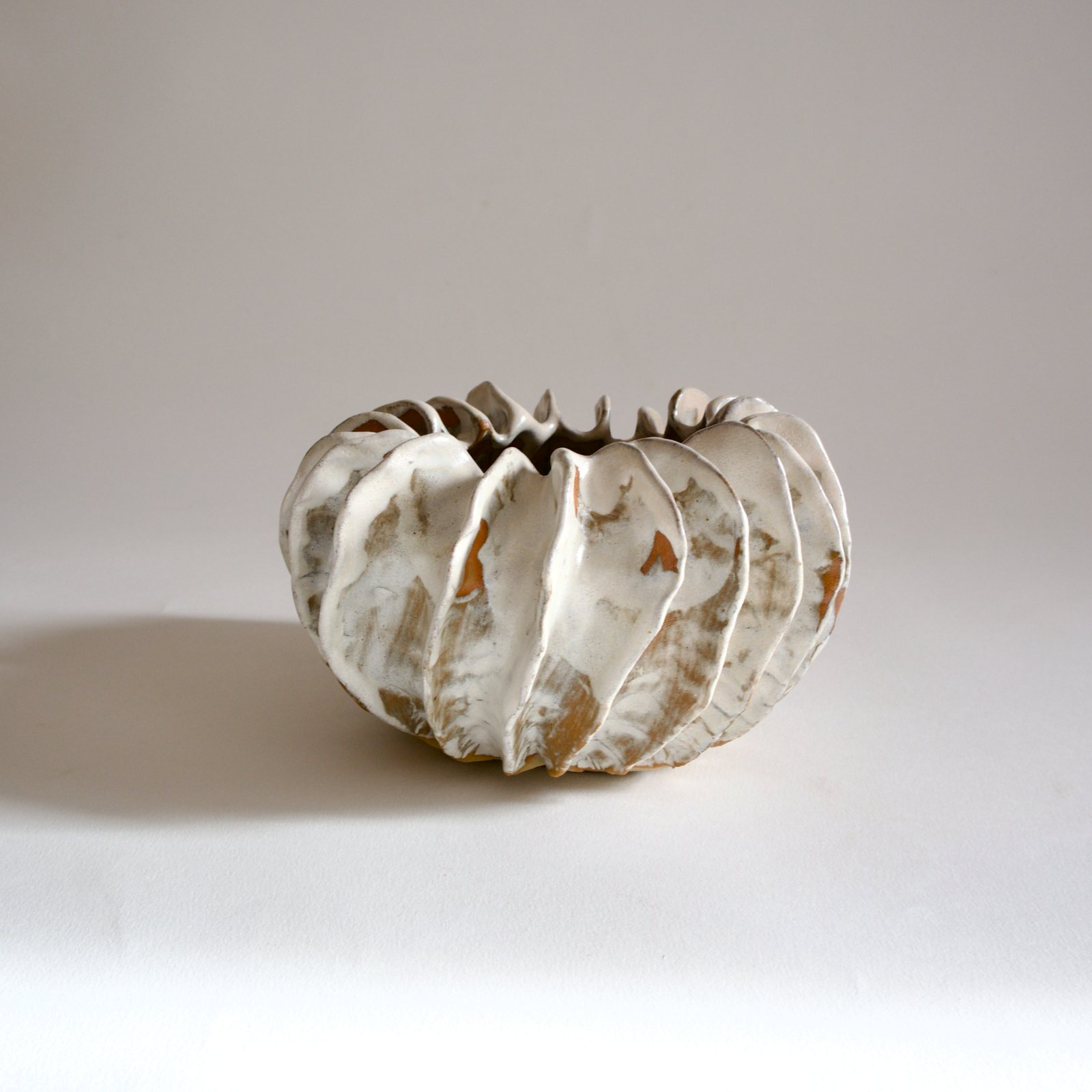PETITE COQUILLE